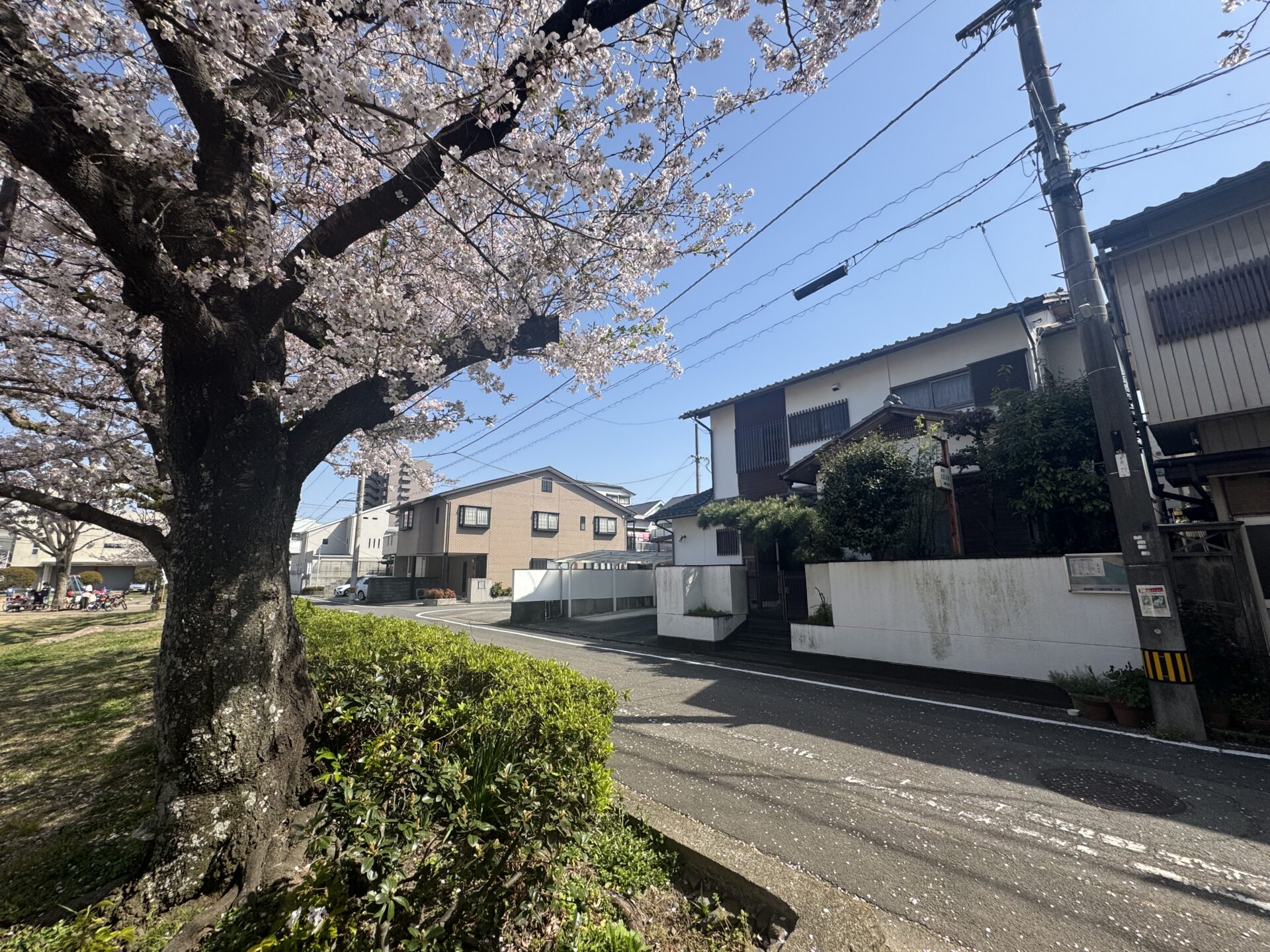 徳島市富田橋1丁目売地